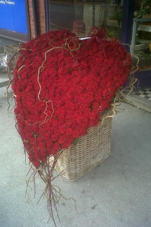 IMG00227-20101106-1419