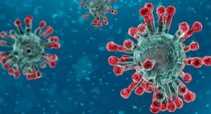 Coronavirus-image-web-570x310