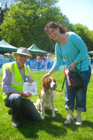 dogshow