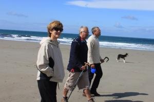 walkingbay