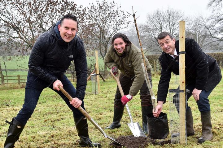 Tree Planting 4