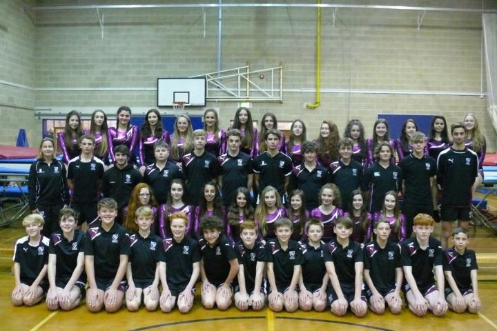 whs trampoline team and HP