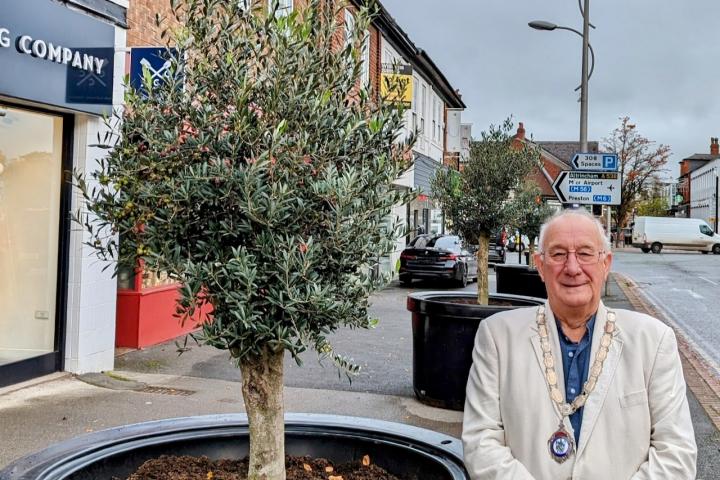 Olive trees and J Newell Alderley Road Oct 2023