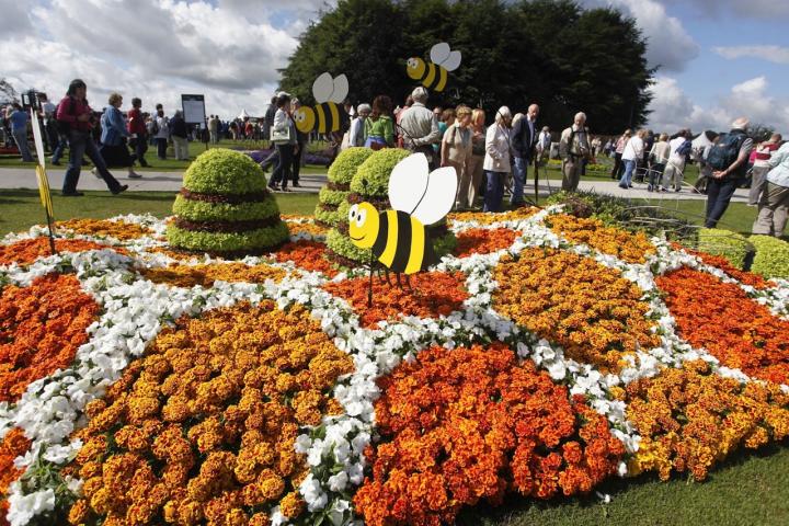 RHS_Tatton 2010_Tribute to the Honey Bee 002