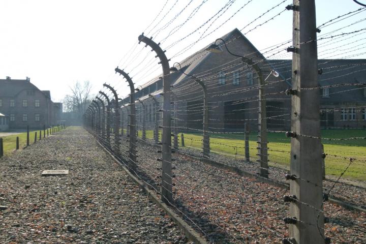 holocaust