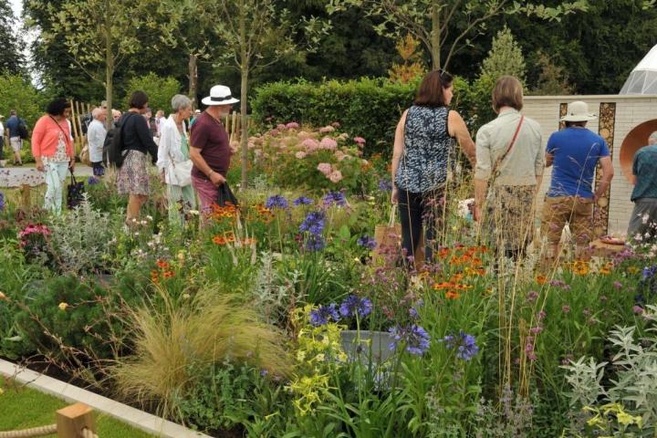 RHS Flower Show 2018