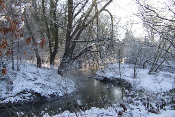 winterscene1rn(1)