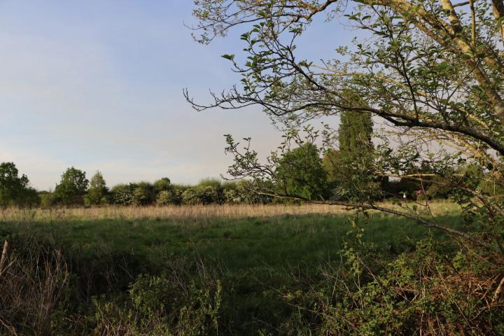 Part of the LPS59 site