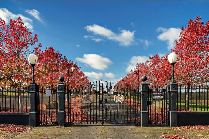 Meadowbrook Cemetery 2 sRGB small